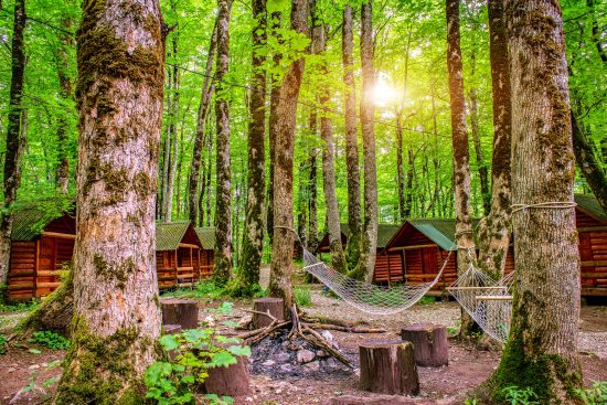 Khu vực cấm trại tại công viên quốc gia Biogradska Gora, một trong ba khu rừng nguyên sinh lớn cuối cùng ở châu Âu.